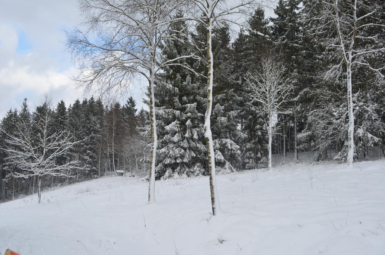 Chalet Le Forestier Bullange Exteriör bild