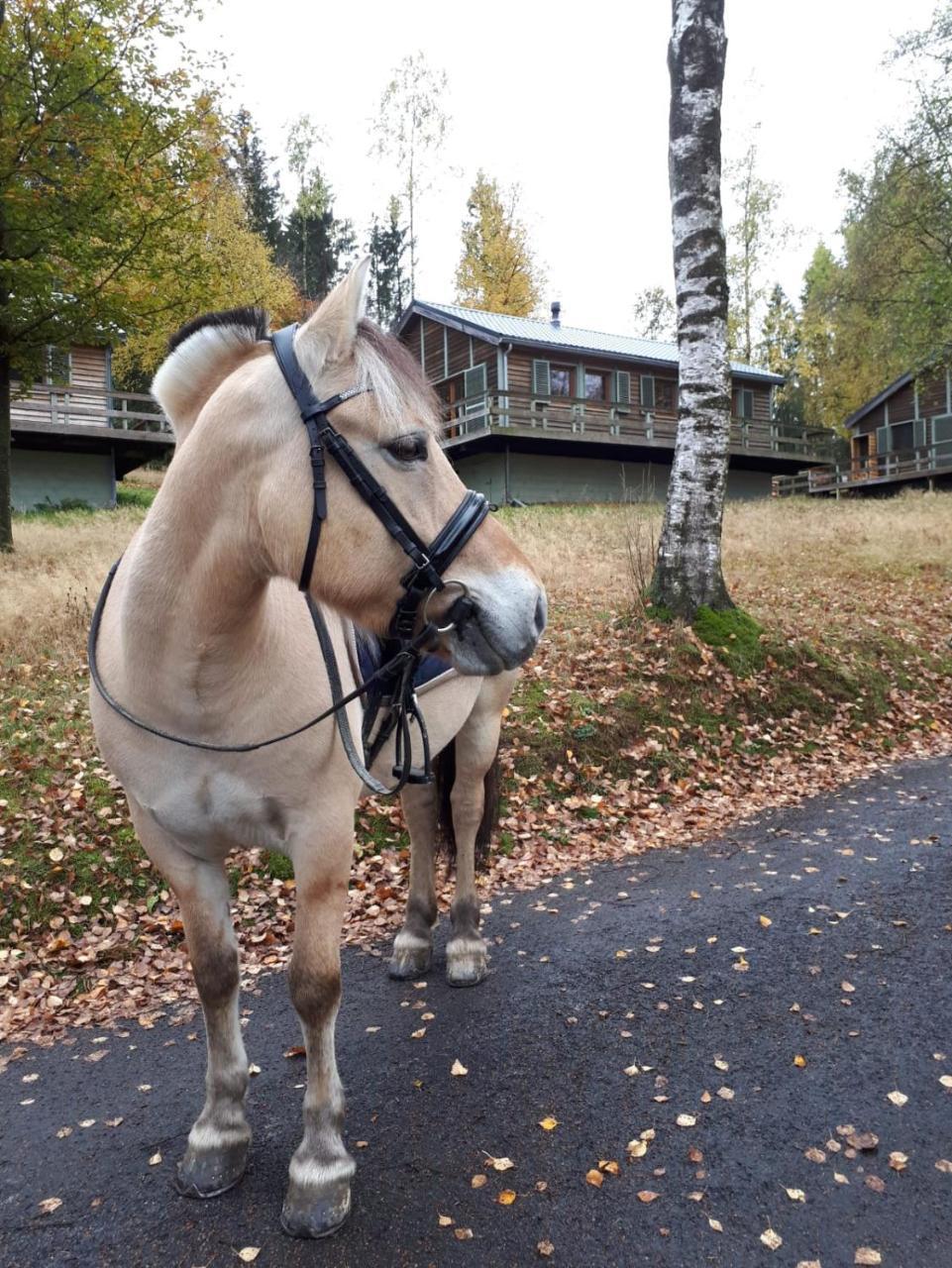 Chalet Le Forestier Bullange Exteriör bild