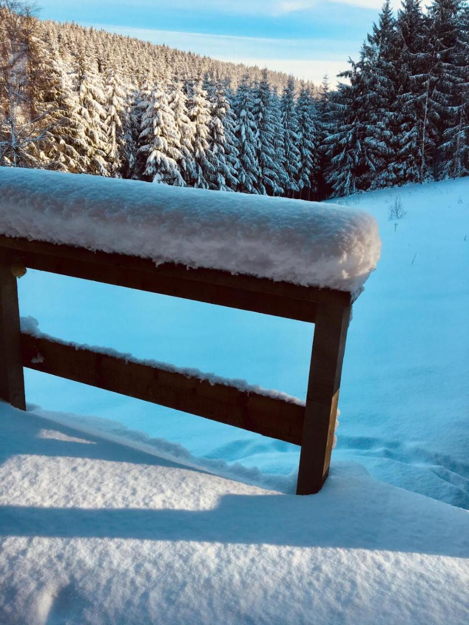 Chalet Le Forestier Bullange Exteriör bild